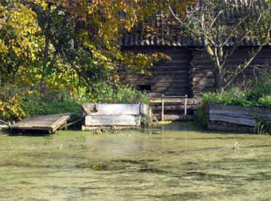 Водяная мельница в деревне Желонкино